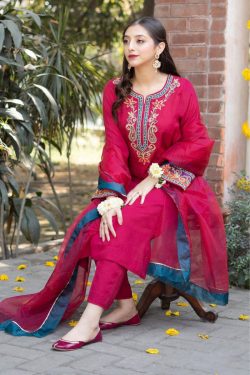 Aisling by Nirmal New Lawn Collection 2024