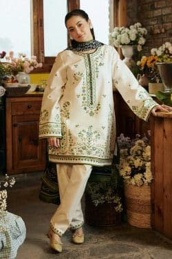 Zara Shahjahan 3Pcs Embroidered Dhanak Collection 2024