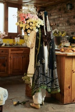 Zara Shahjahan 3Pcs Embroidered Dhanak Collection 2024