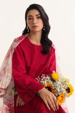 Zara Shahjahan 3Pcs Embroidered Dhanak Collection 2024