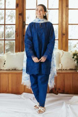 Zara Shahjahan 3Pcs Embroidered Dhanak Collection 2024