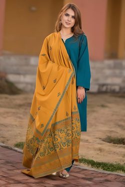 Aisling by nirmal Winter collection 2024