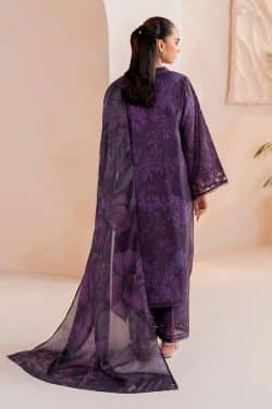 Baroque New Winter Collection 2024