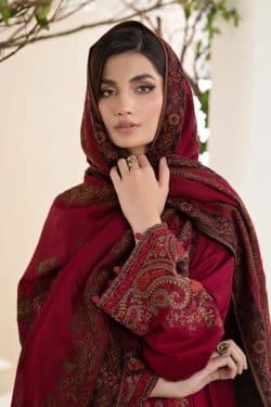Maria B New Winter Collection 2024