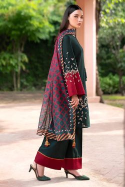 Jazmin New Winter Collection