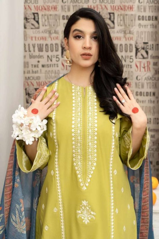 Aisling by Nirmal Summer Lawn Collection 2025